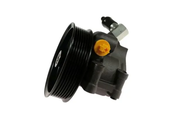 Hydraulic Pump, steering 55.1244