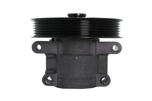 Hydraulic Pump, steering 55.1297