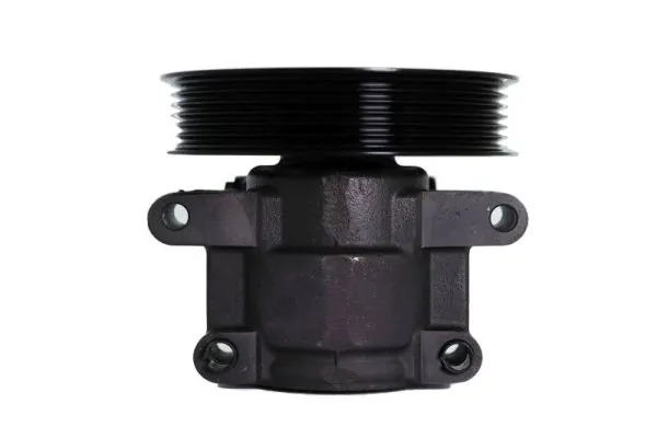 Hydraulic Pump, steering 55.3678