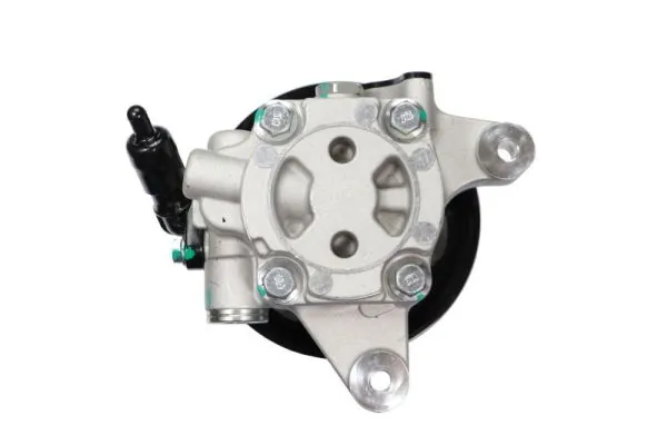 LAUBER 55.4301 Hydraulic Pump, steering