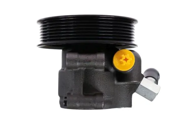 Hydraulic Pump, steering 55.1244