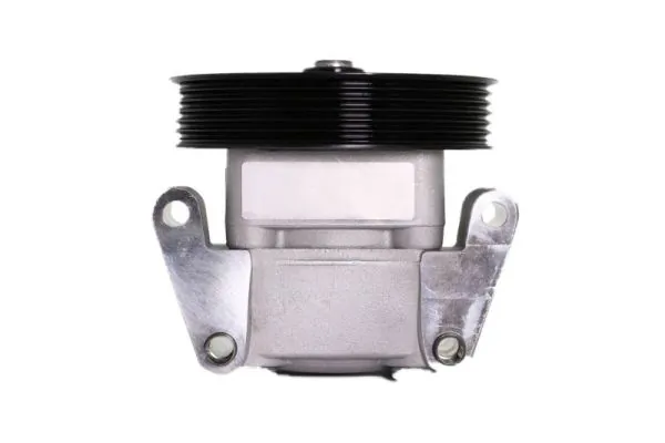 Hydraulic Pump, steering 55.3501
