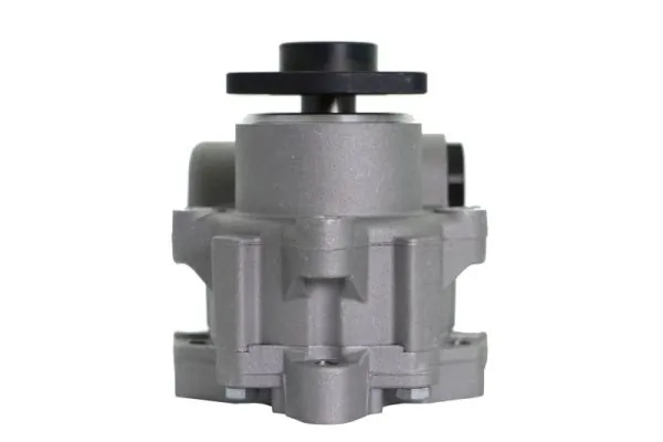 Hydraulic Pump, steering 55.0135