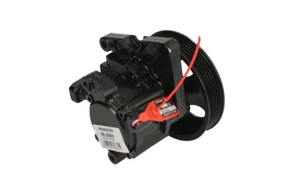 LAUBER 55.2903 Hydraulic Pump, steering
