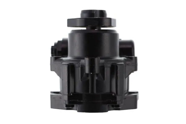 Hydraulic Pump, steering 55.9123