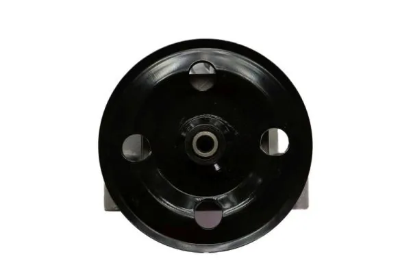 Hydraulic Pump, steering 55.3501