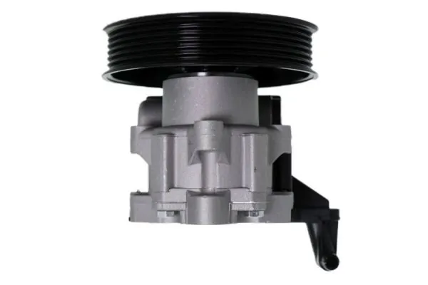 Hydraulic Pump, steering 55.2901