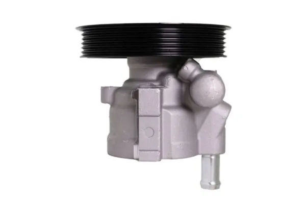 Hydraulic Pump, steering 55.3105