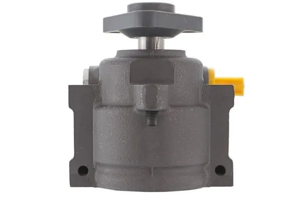 Hydraulic Pump, steering 55.0172