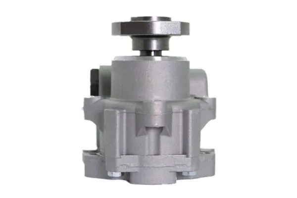 Hydraulikpumpe, Lenkung 55.4112