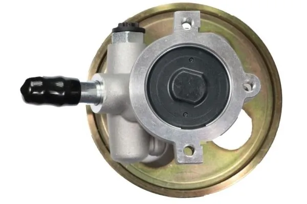 Hydraulic Pump, steering 55.9984