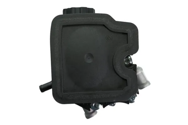 Hydraulic Pump, steering 55.1030