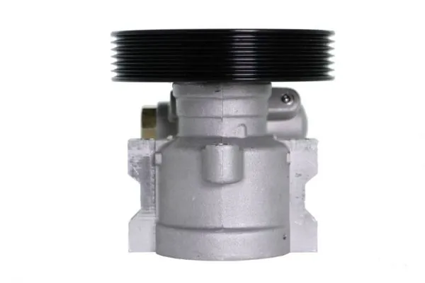 Hydraulic Pump, steering 55.0137