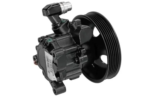 Hydraulic Pump, steering 55.0979