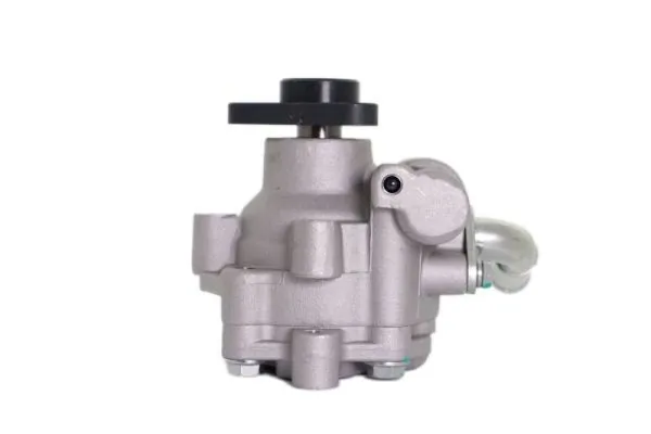 Hydraulic Pump, steering 55.9692