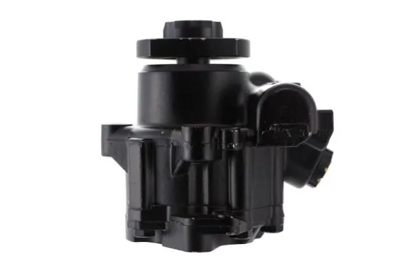 Hydraulic Pump, steering 55.9123