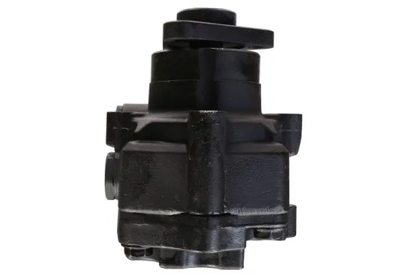 LAUBER 55.4270 Hydraulic Pump, steering