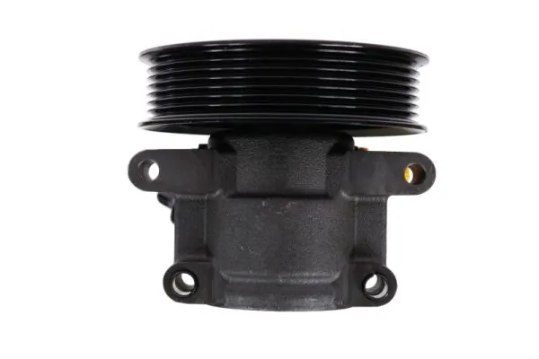 Hydraulic Pump, steering 55.1244