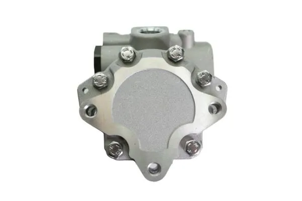 Hydraulic Pump, steering 55.0135