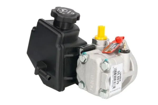 Hydraulic Pump, steering 55.6079