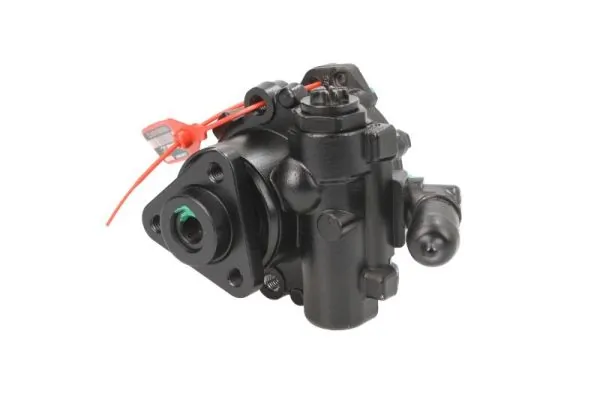 Hydraulic Pump, steering 55.0313