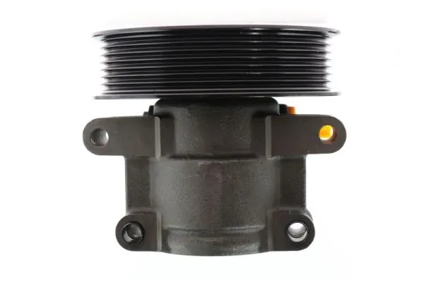 Hydraulic Pump, steering 55.1243