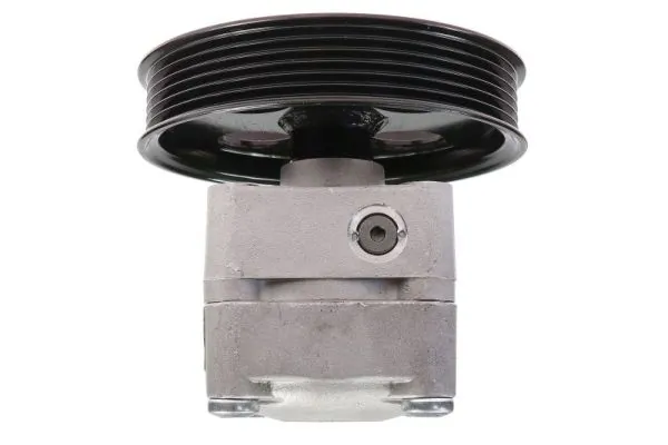 Hydraulic Pump, steering 55.1425