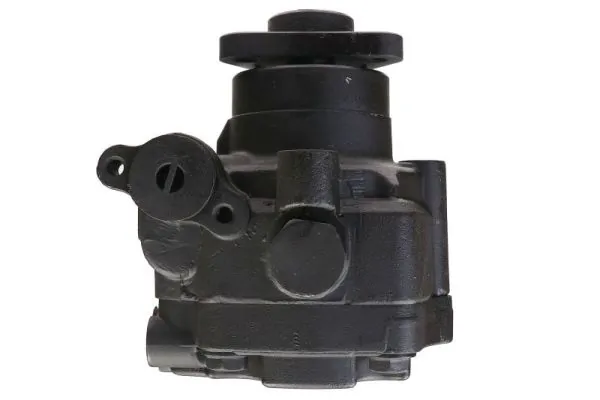 LAUBER 55.4270 Hydraulic Pump, steering