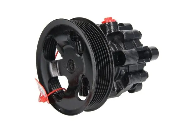 Hydraulic Pump, steering 55.6095