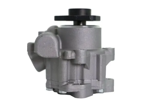 Hydraulic Pump, steering 55.0135