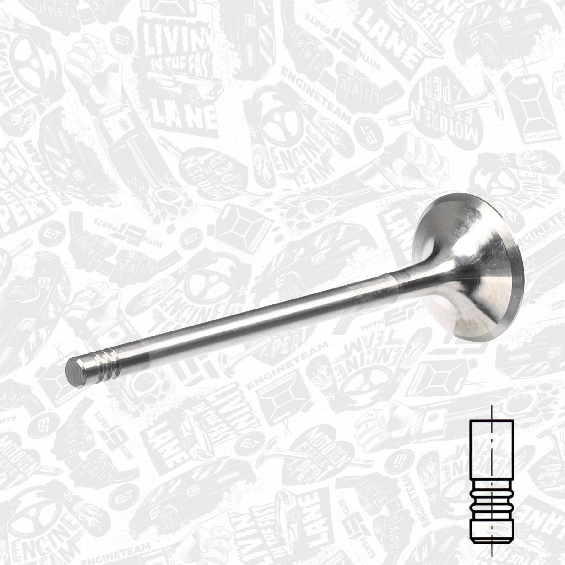 Exhaust Valve VE0024