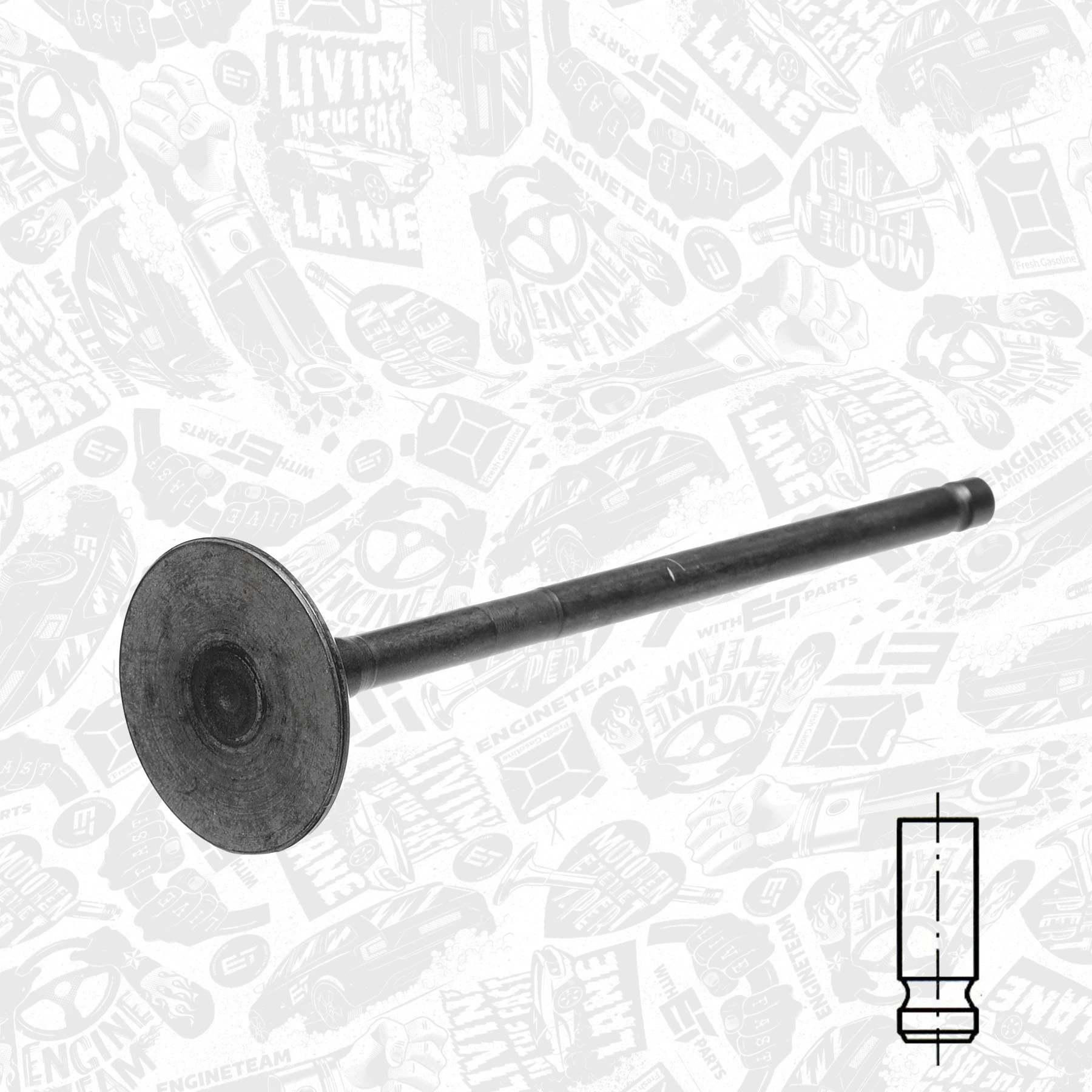 Exhaust Valve VE0113