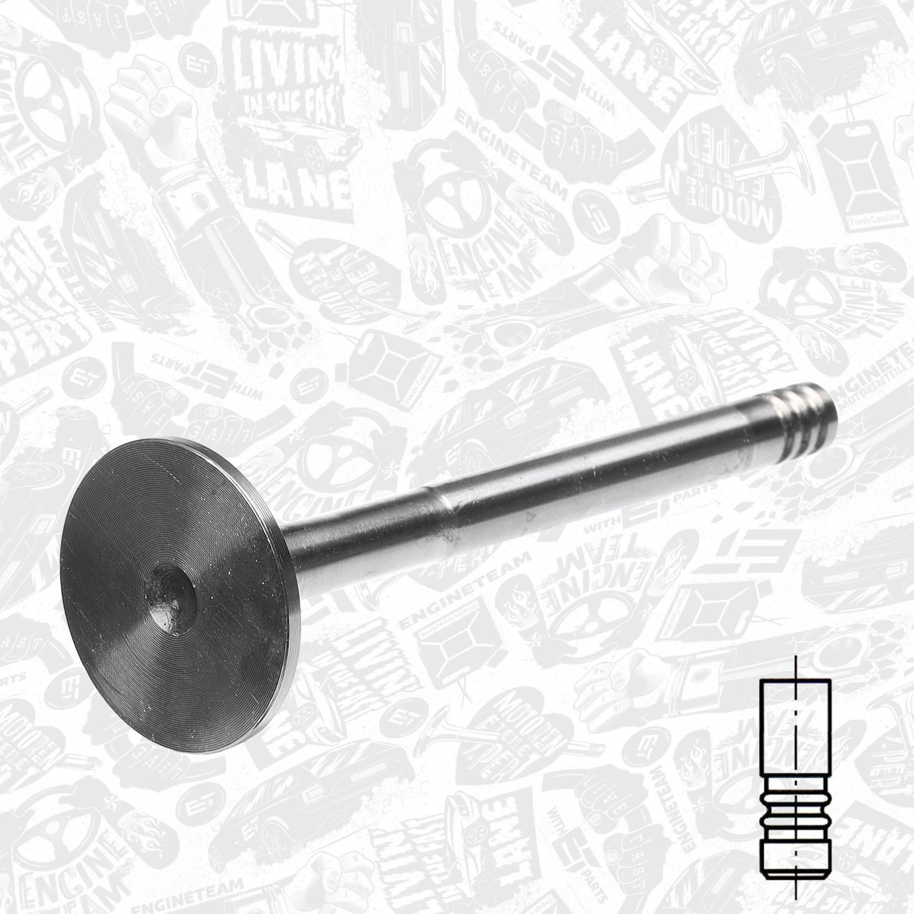 Exhaust Valve VE0079