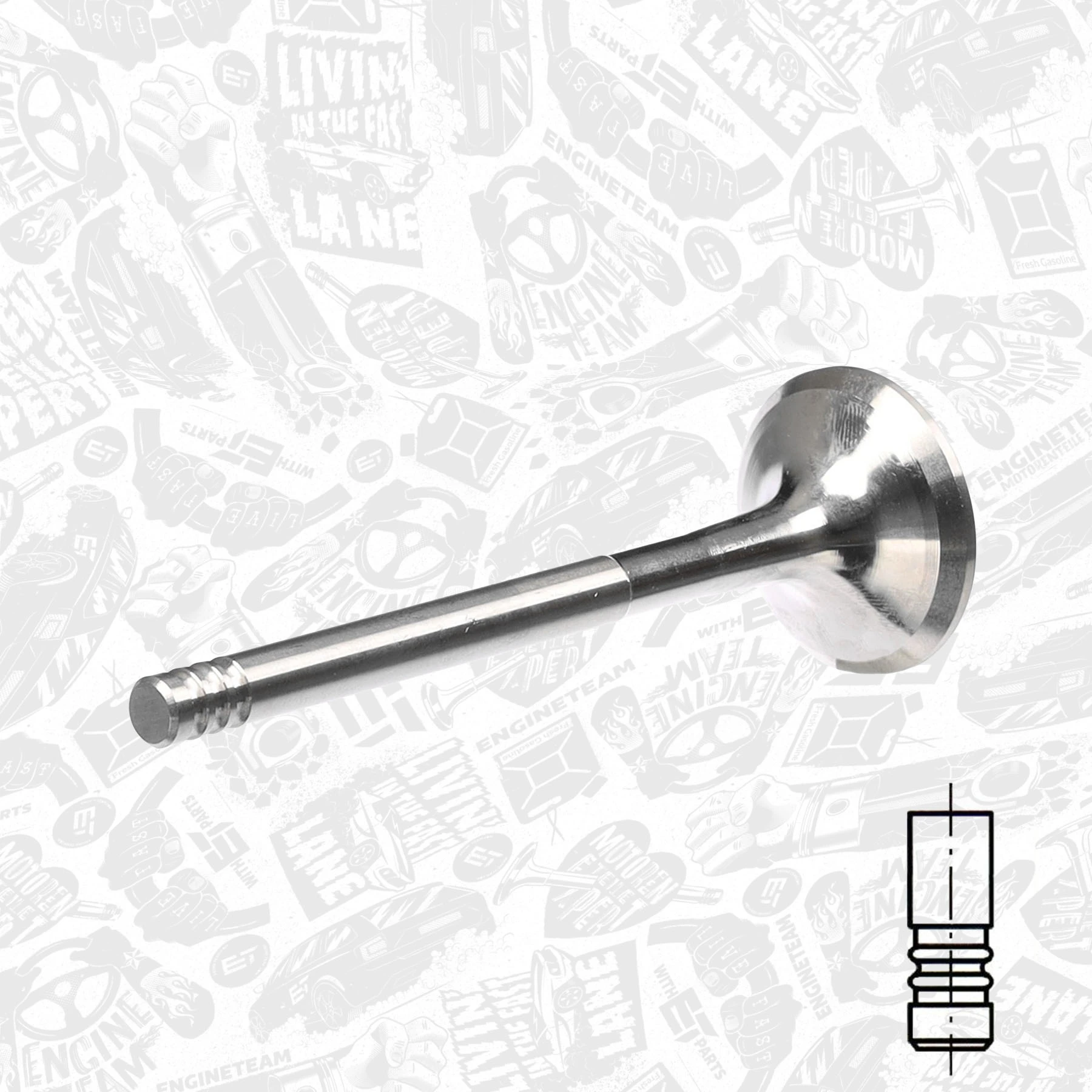 Exhaust Valve VE0027