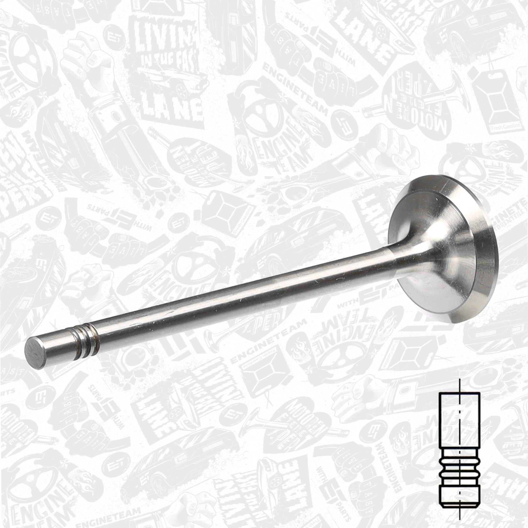 Exhaust Valve VE0061