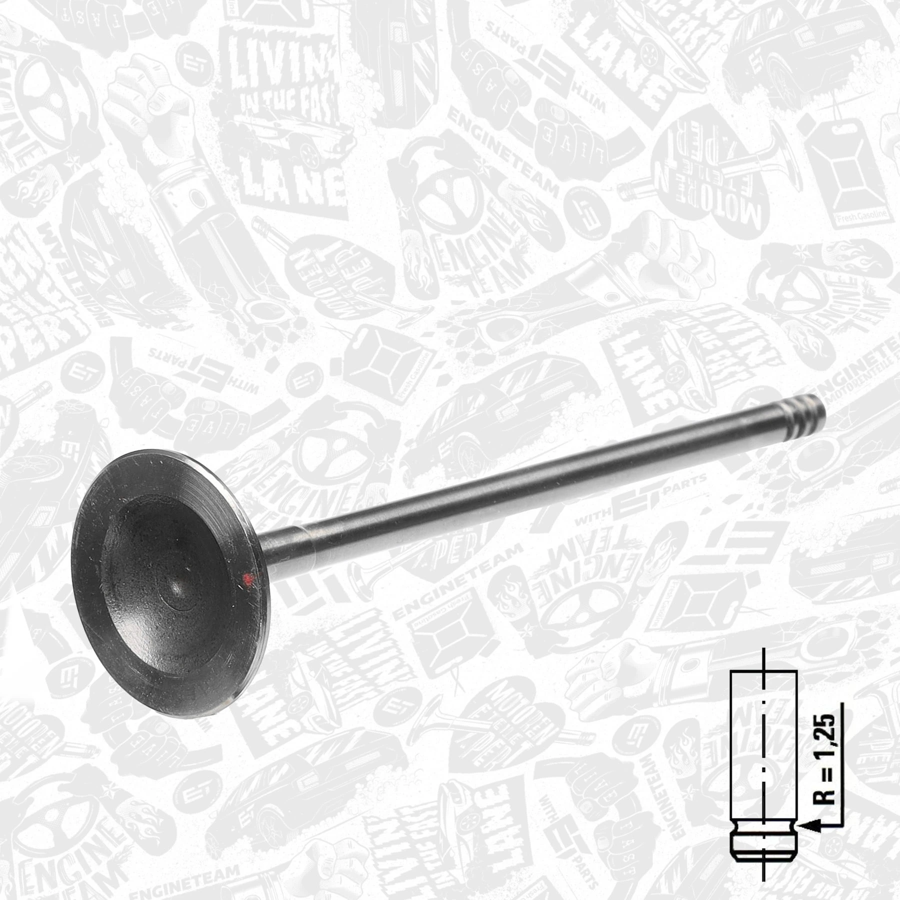 Exhaust Valve VE0042