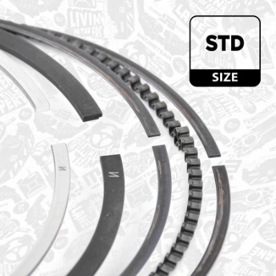 Piston Ring Kit R1003700