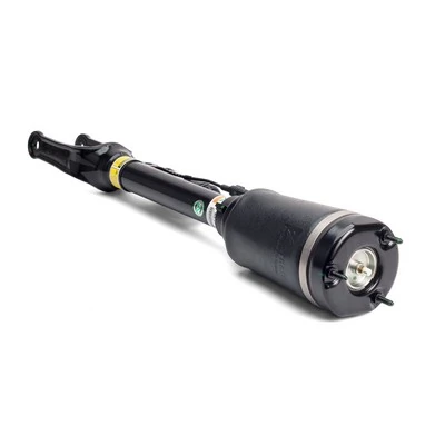 Air Suspension Strut AS-2450