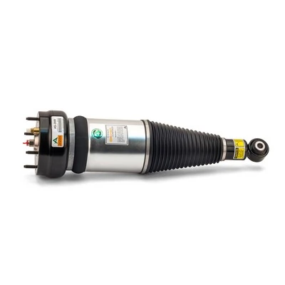 Arnott AS-2889 Air Suspension Strut