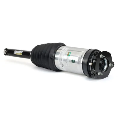 Arnott AS-3750 Air Suspension Strut