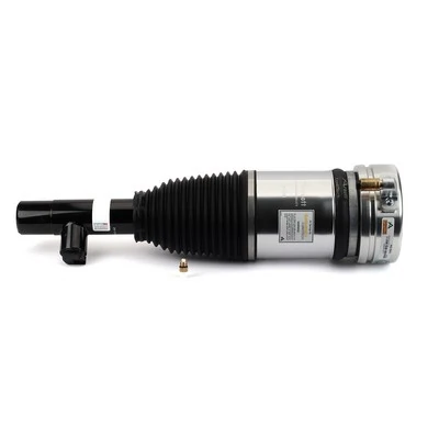 Air Suspension Strut Original Arnott Product AS-3343