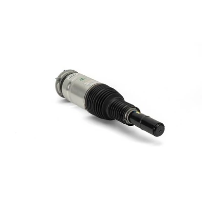 Air Suspension Strut Original Arnott Product AS-3069