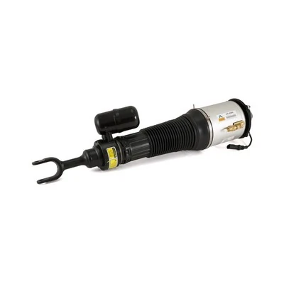 Air Suspension Strut AS-2580