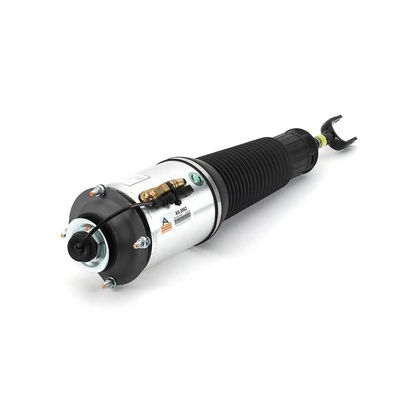 Air Suspension Strut AS-2562