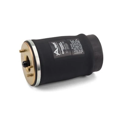 Air Spring, suspension A-2502