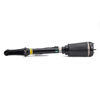 Air Suspension Strut AS-2450