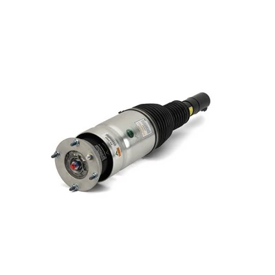 Air Suspension Strut Original Arnott Product AS-3069