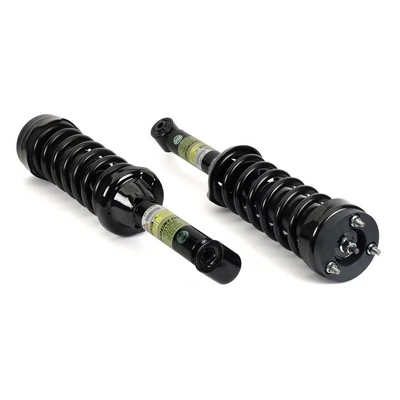 Arnott C-3620 Suspension Kit, springs/shock absorbers