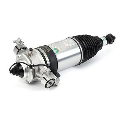 Air Suspension Strut Original Arnott Product AS-3166