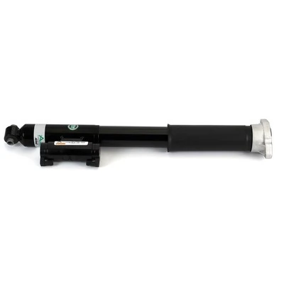 Arnott SK-3389 Shock Absorber